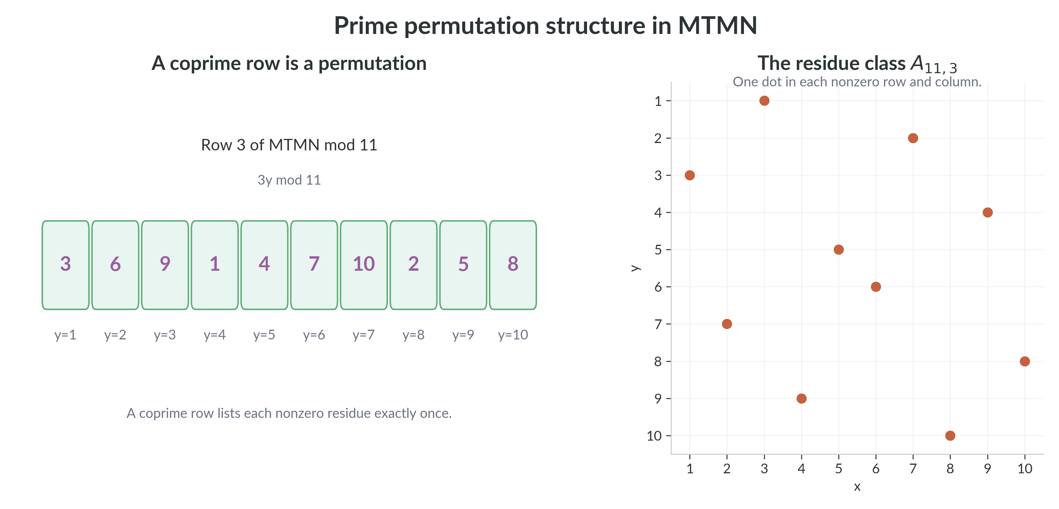 Prime permutation structure in two views. Left: a coprime row of the table is a permutation of the nonzero residues. Right: the residue class $A_{11,3}$ places exactly one point in each nonzero row and each nonzero column.